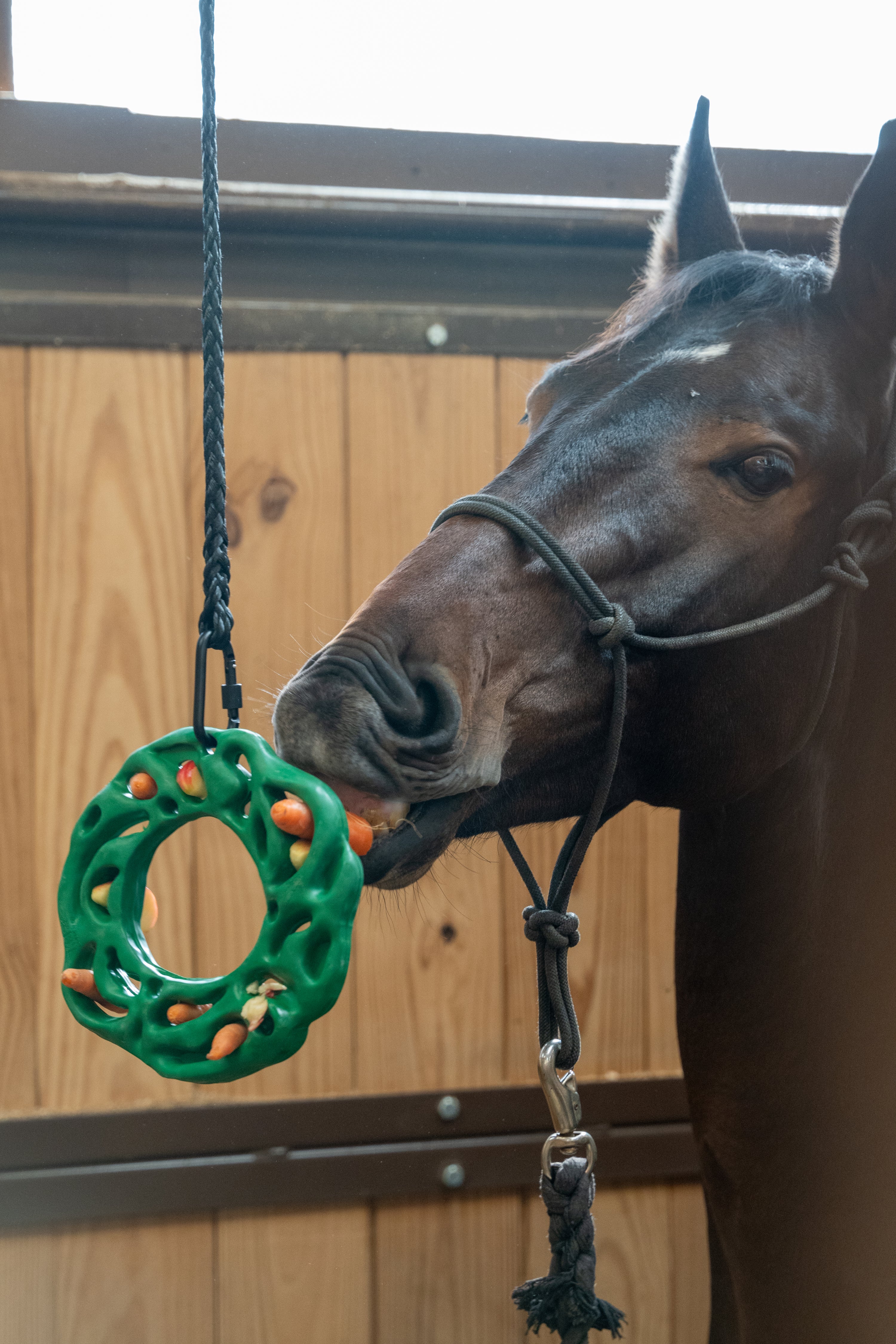 Luna® Ring Horse Toy