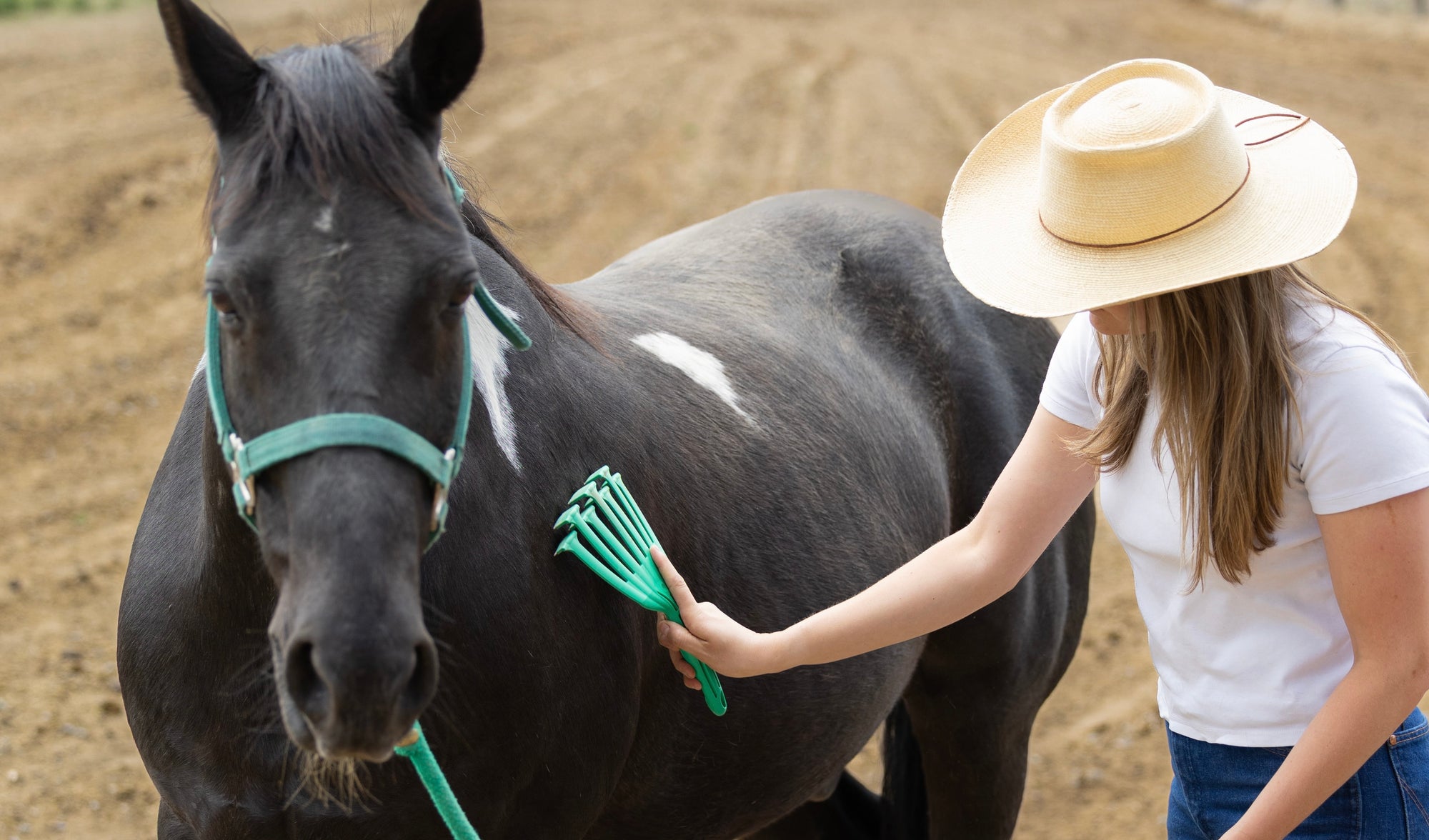 Woman in a white shirt and cowboy hat standing next to a black horse with a green bridle on a dirt field.