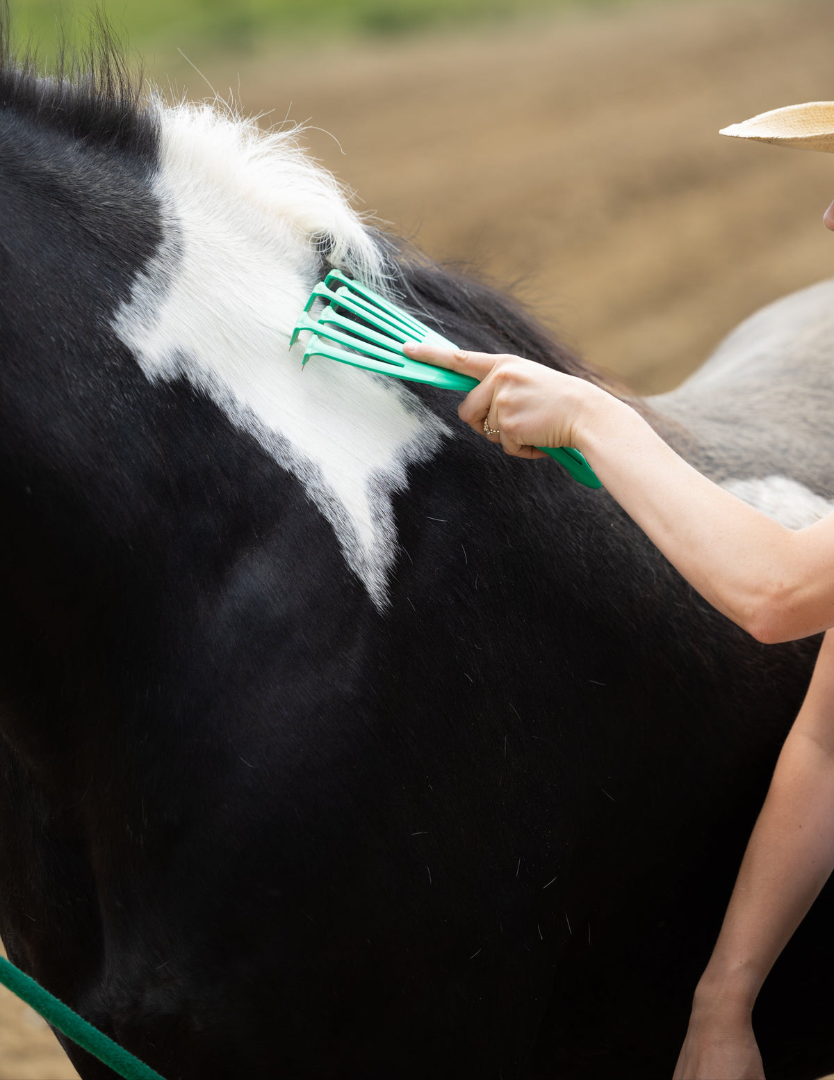 Person grooming a horse with a green brush in an outdoor setting