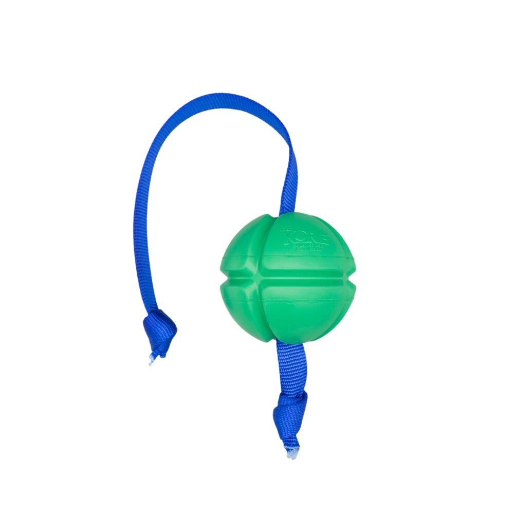 FloTek™ Dog Tug Toy