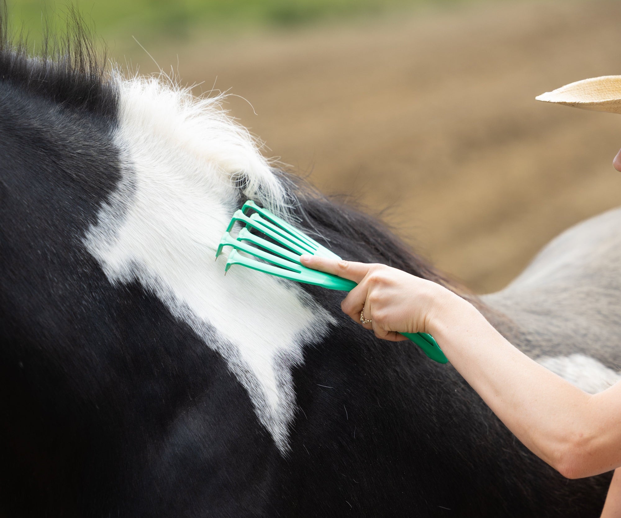 Person grooming a horse with a green brush in an outdoor setting